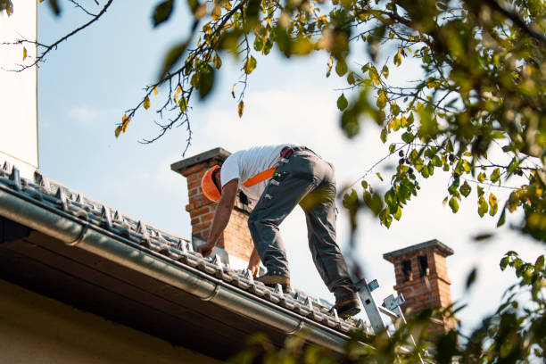 Best Roof Waterproofing Services  in Driggs, ID