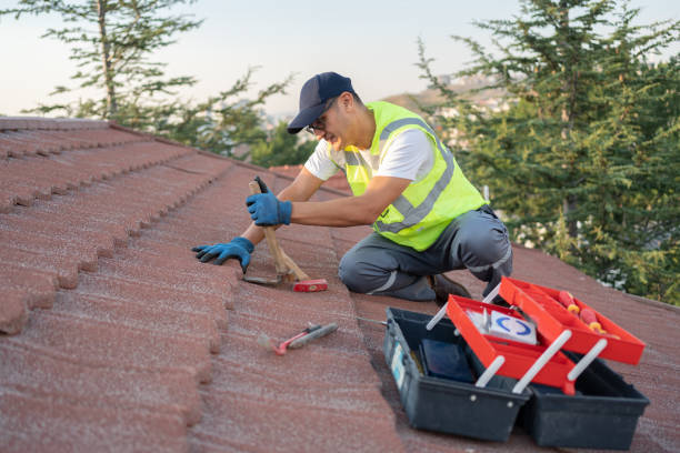 Best Roof Maintenance Services  in Driggs, ID