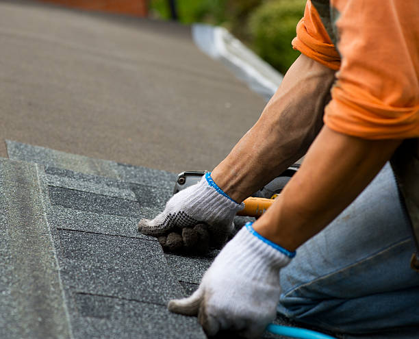 Best Slate Roofing Contractor  in Driggs, ID