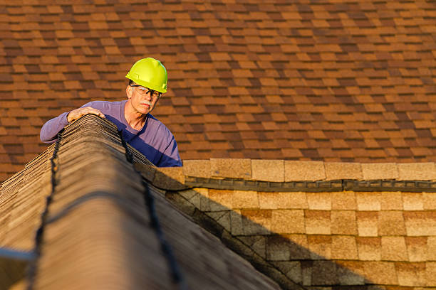 Best Shingle Roofing Installation  in Driggs, ID