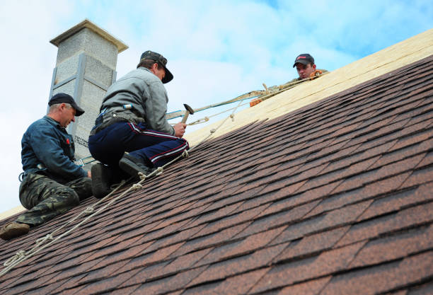 Best Metal Roofing Contractor  in Driggs, ID